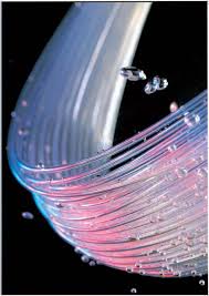 FLUORO-X(フロロエックス)  投込タイプ